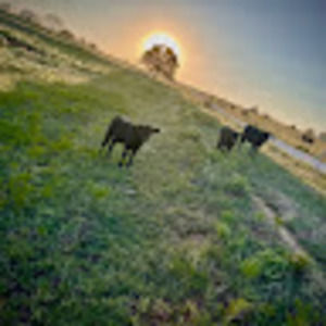 Meet your Posher, Jaden